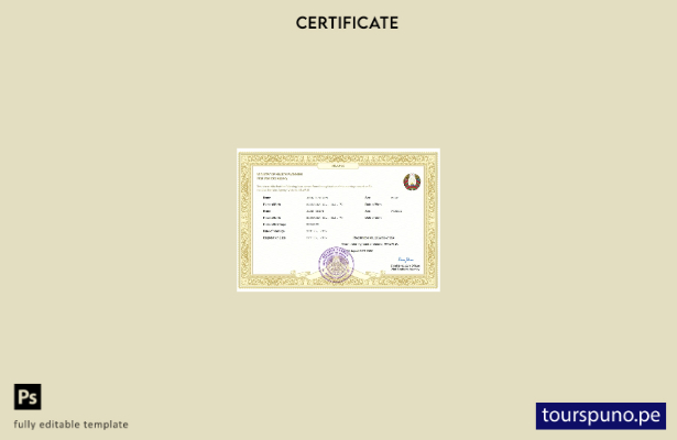 listo para imprimir certificado de matrimonio de Bielorrusia Plantilla Word y PD